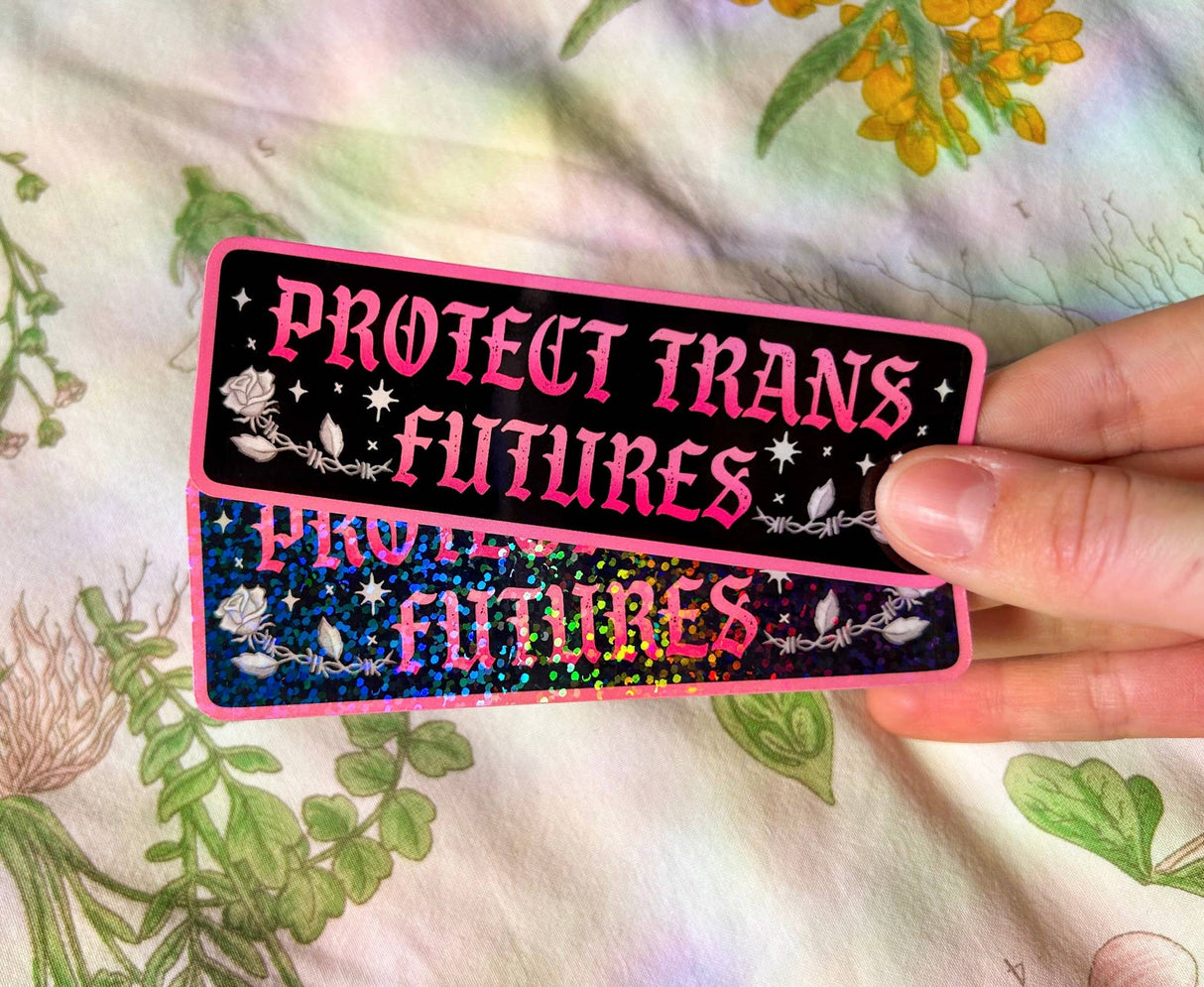 Protect Trans Futures Sticker // LGBTQ+ Transgender Pride