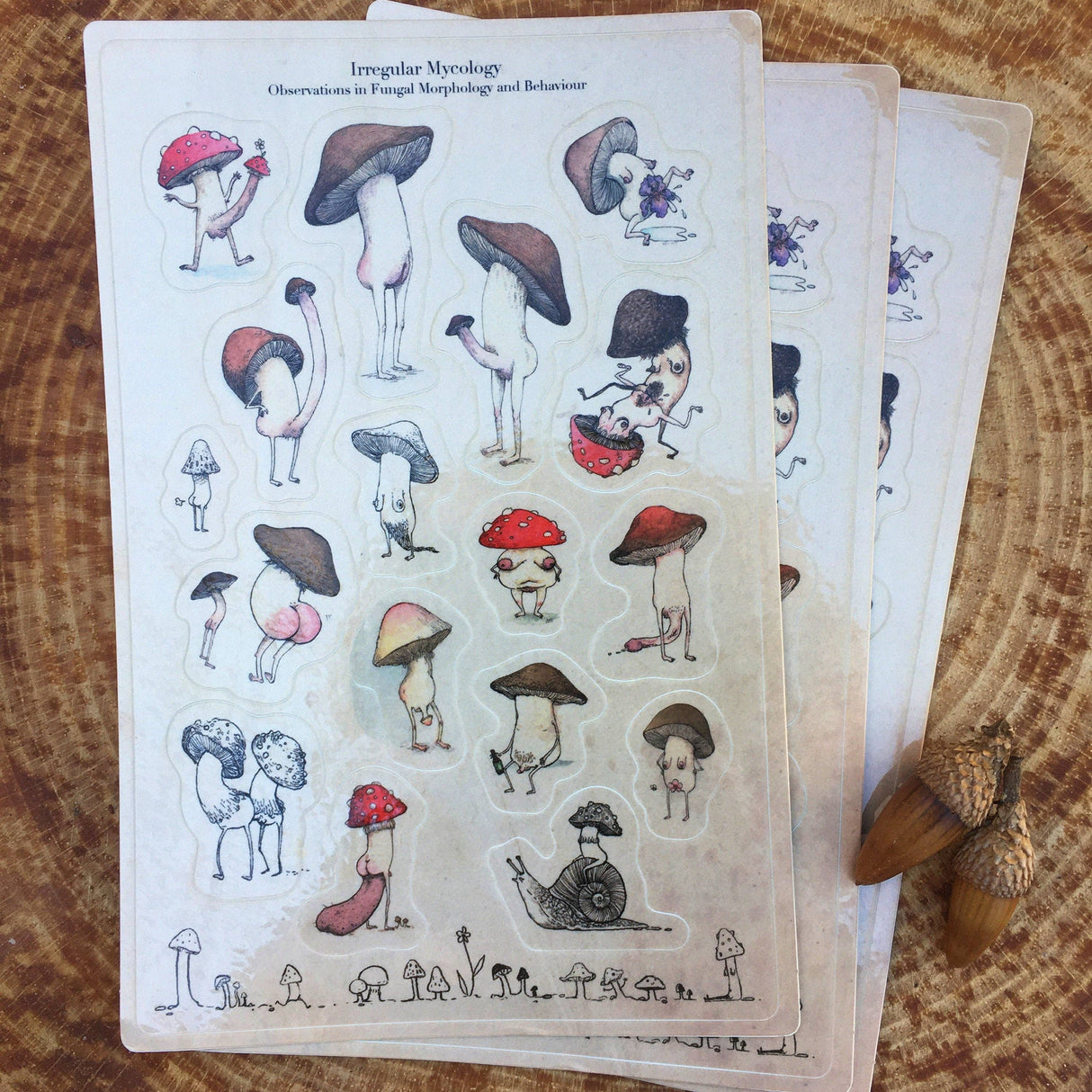 Irregular Mycology Mushroom sticker sheet