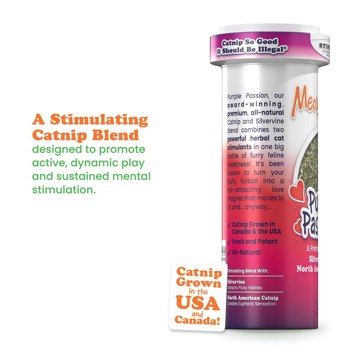 Purrple Passion - Silvervine and Catnip Blend