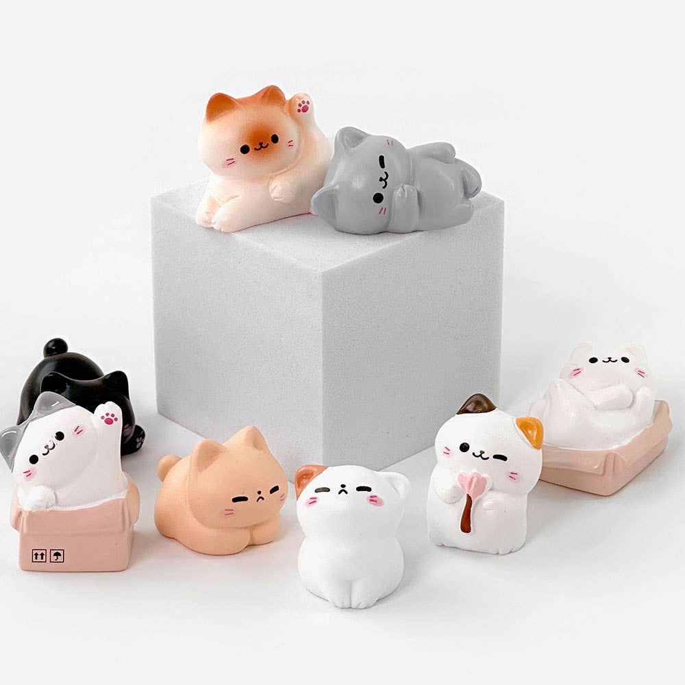 Cozy Cat Blind Box