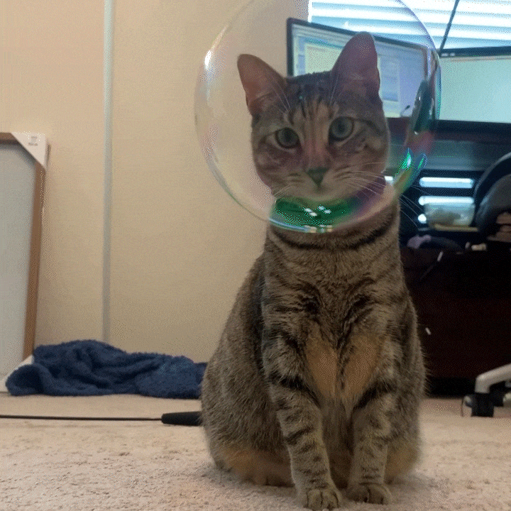 Catnip & Honeysuckle Bubbles