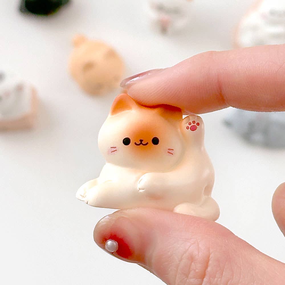 Cozy Cat Blind Box