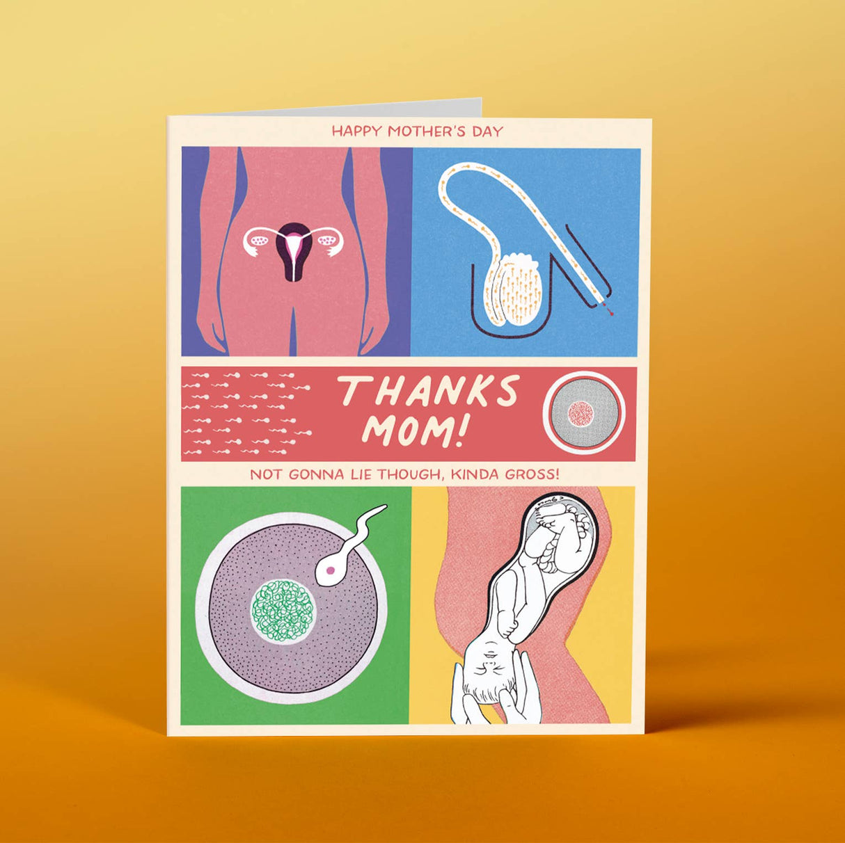 Gross Mom Mother's Day Card