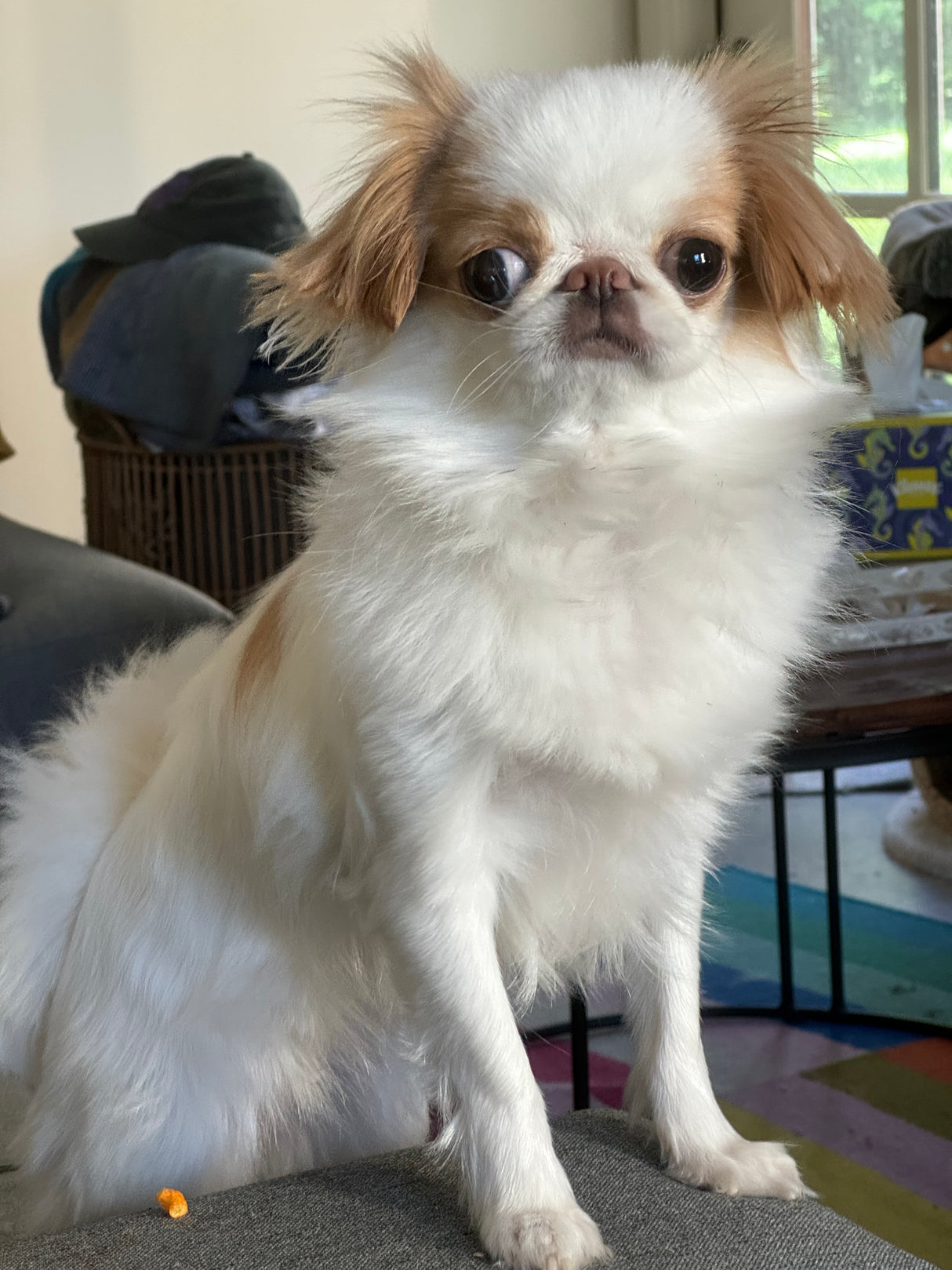 Barketing Manager Earrings