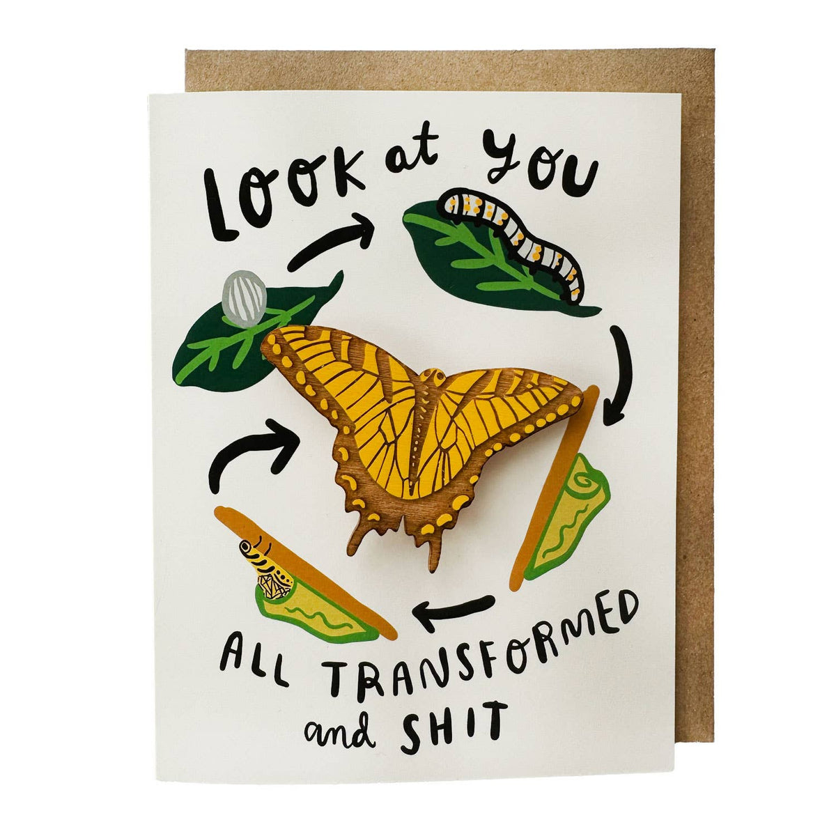 Life-Cycle Butterfly Magnet w/ Card