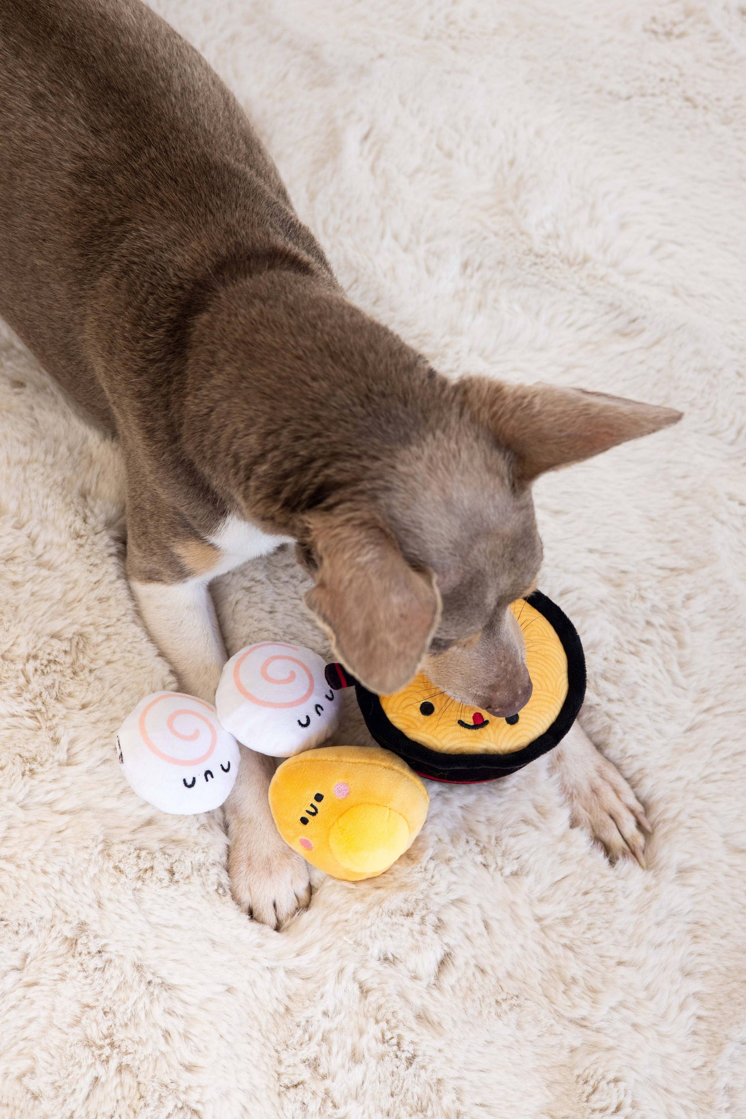 Dogkatsu Ramen Dog Toys, Set of 3