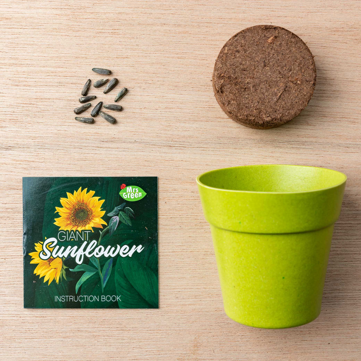 Sunflower Grow Pack