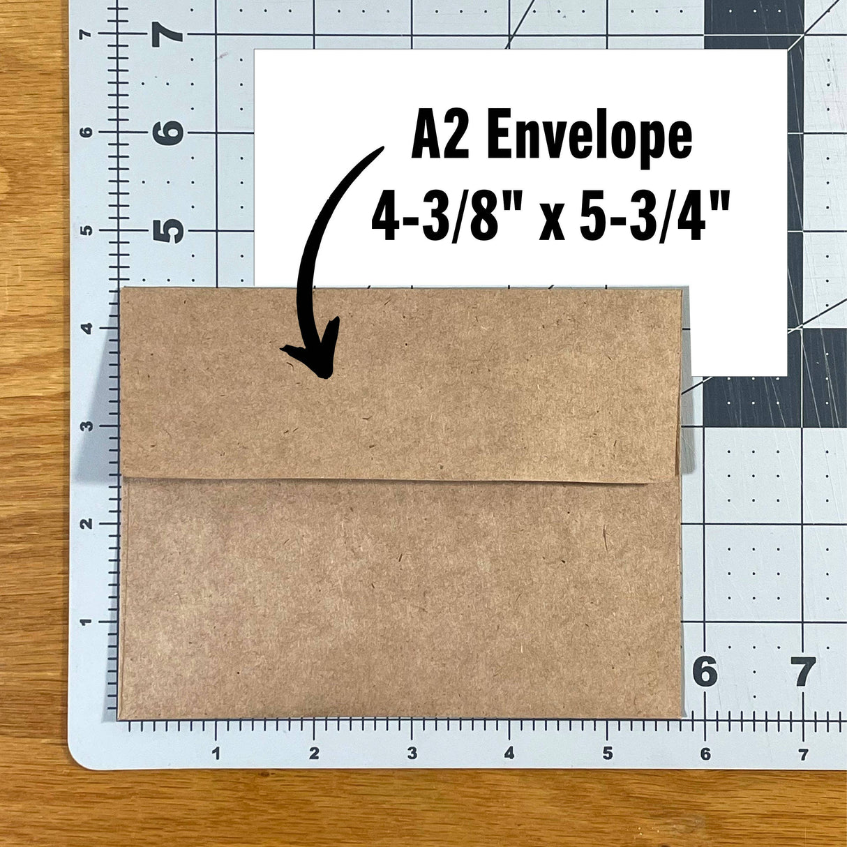 Don't Look at This Chicken Sarcastic Vintage Card