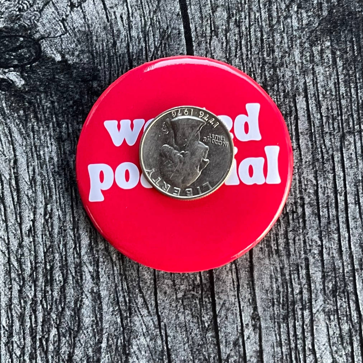 Wasted Potential Pinback Button
