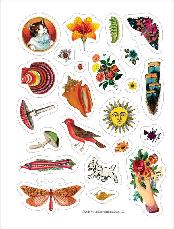 Antiquarian Sticker Book 2027 Monthly/Weekly Planner Calendar by Macmillan Children's Books