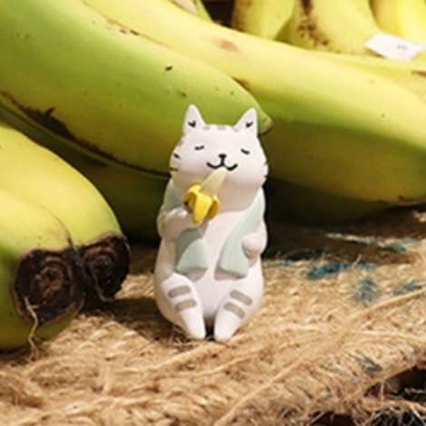 Cat Market Blind Box