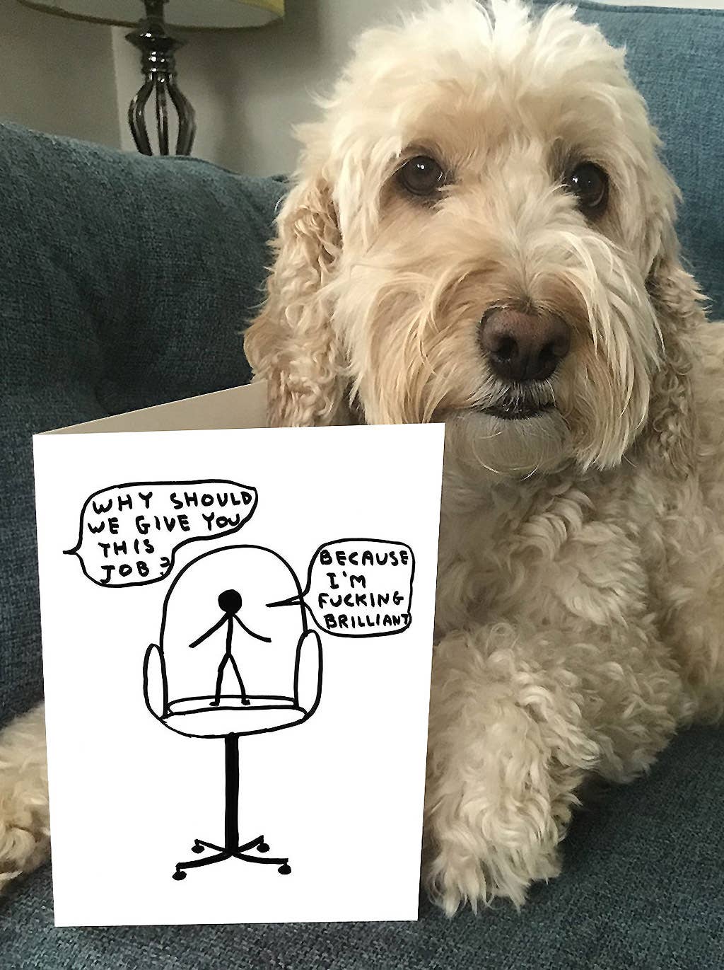 New Job I'm Brilliant Greeting Card