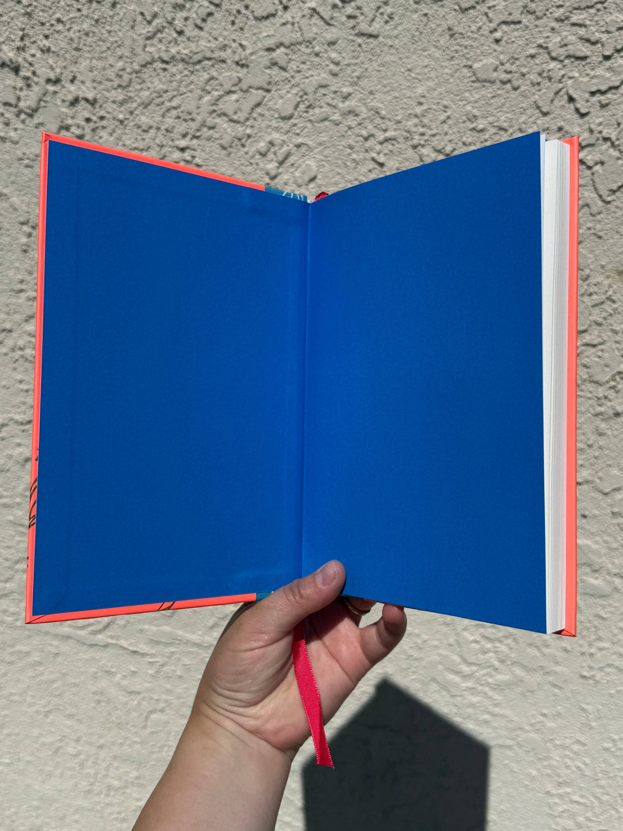 A Dragon's Fairytale - Blank 200pg Notebook / Woodfolk Collection