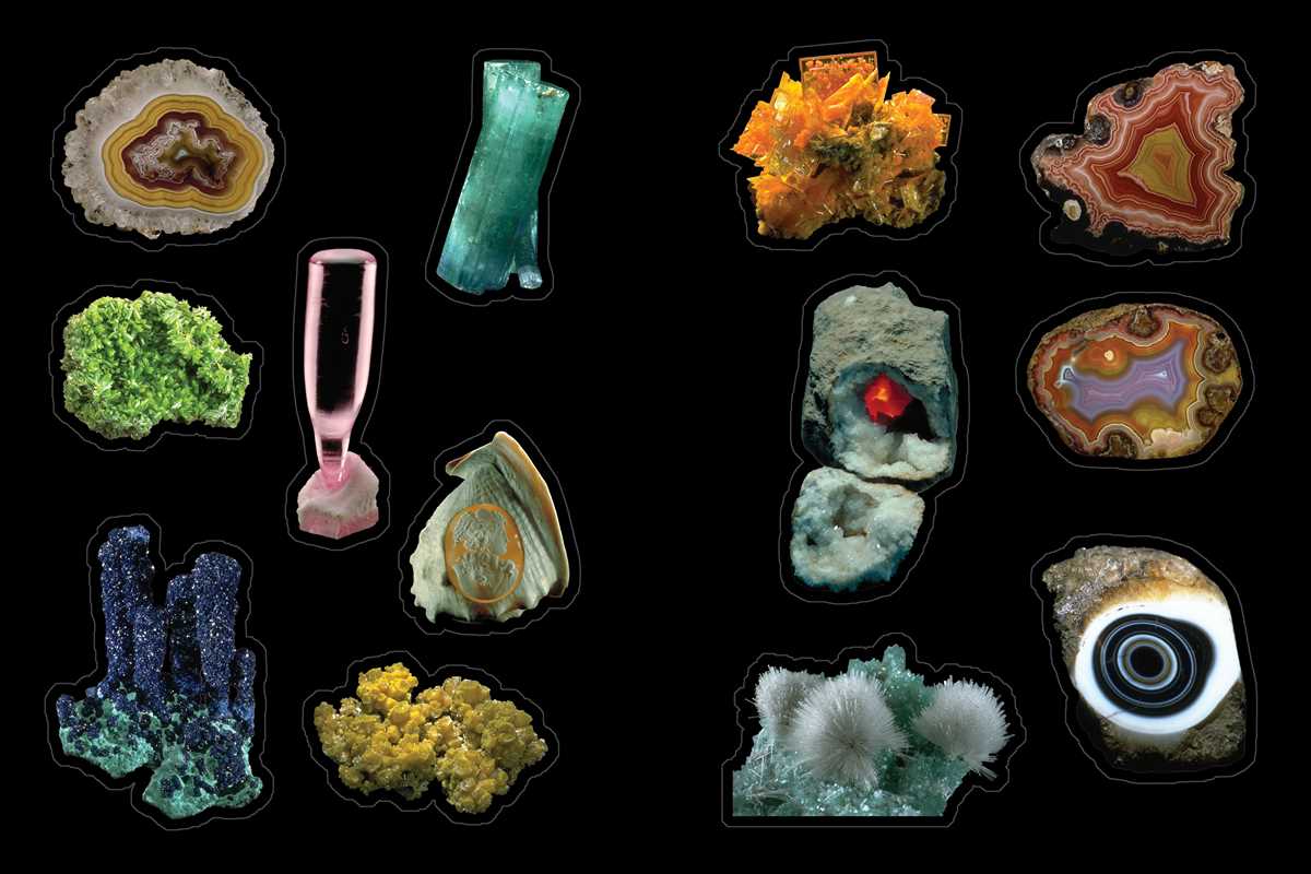 Cabinet of Curiosities