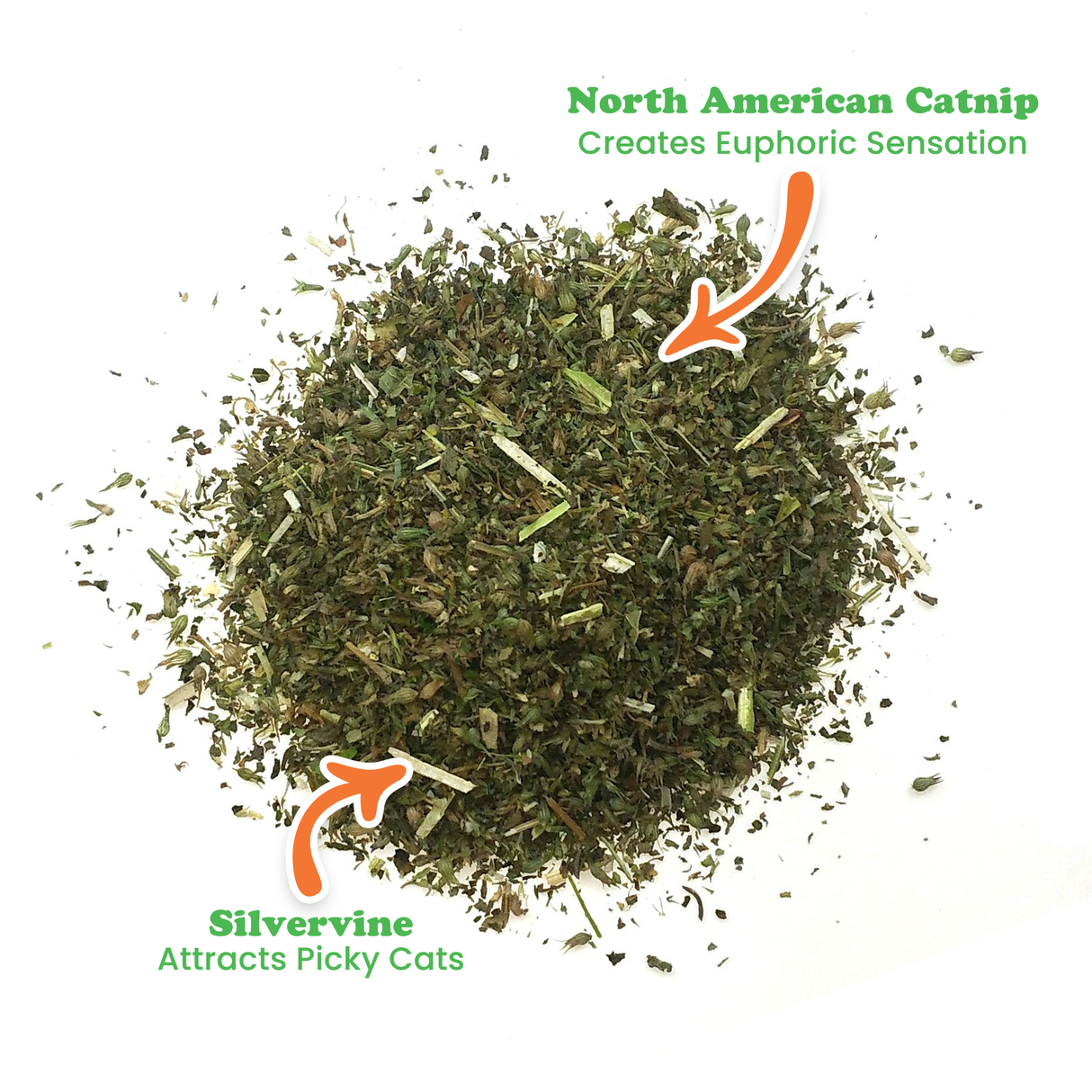 Purrple Passion - Silvervine and Catnip Blend