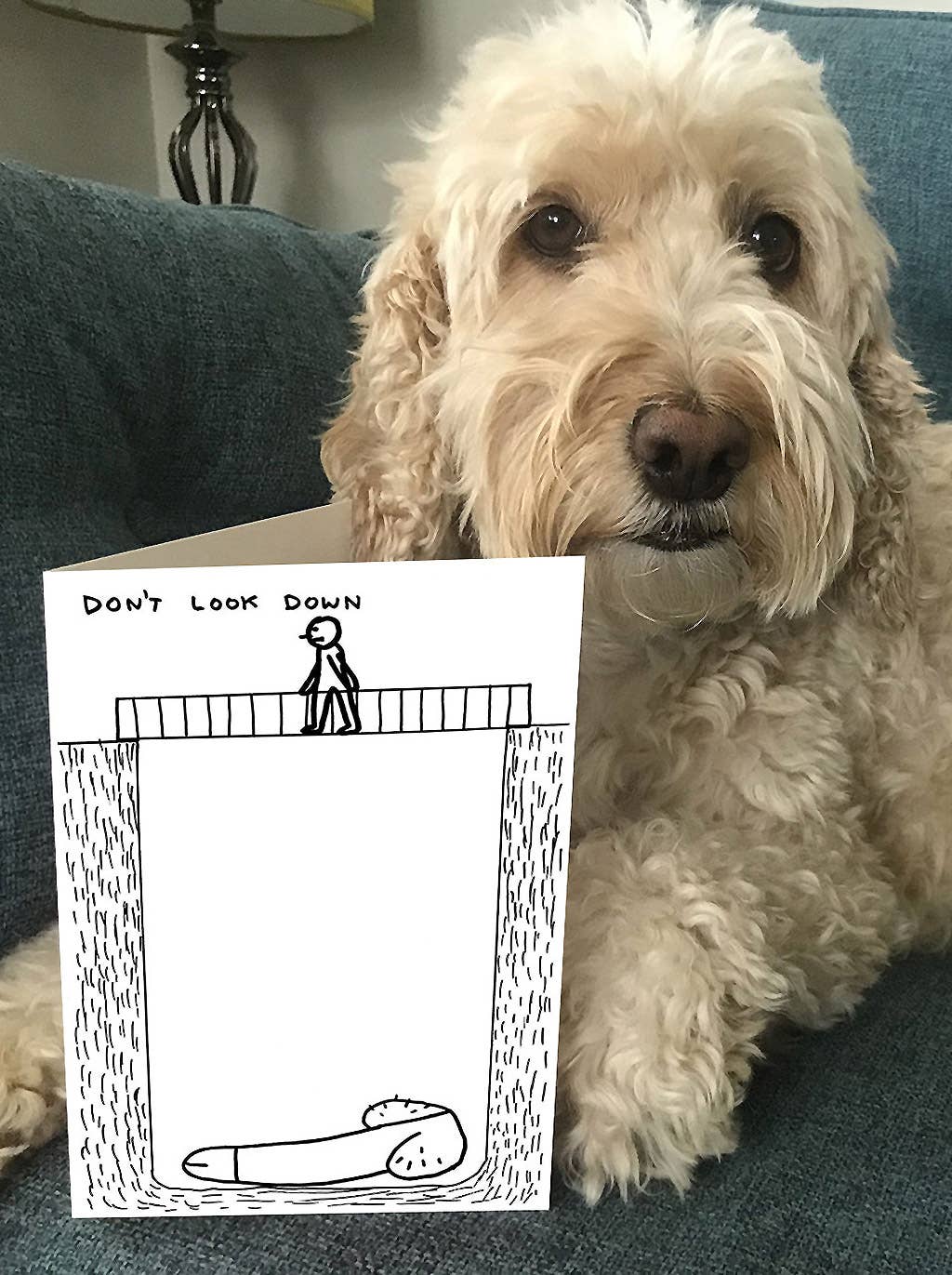 Don't Look Down Greeting Card