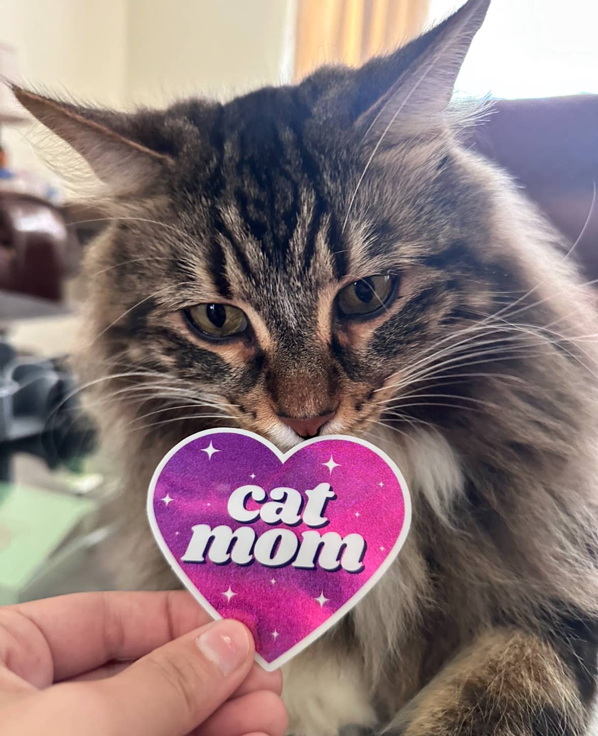 Cat Mom Glittery Heart Sticker