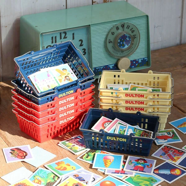 Dulton Small Item Organizer Basket