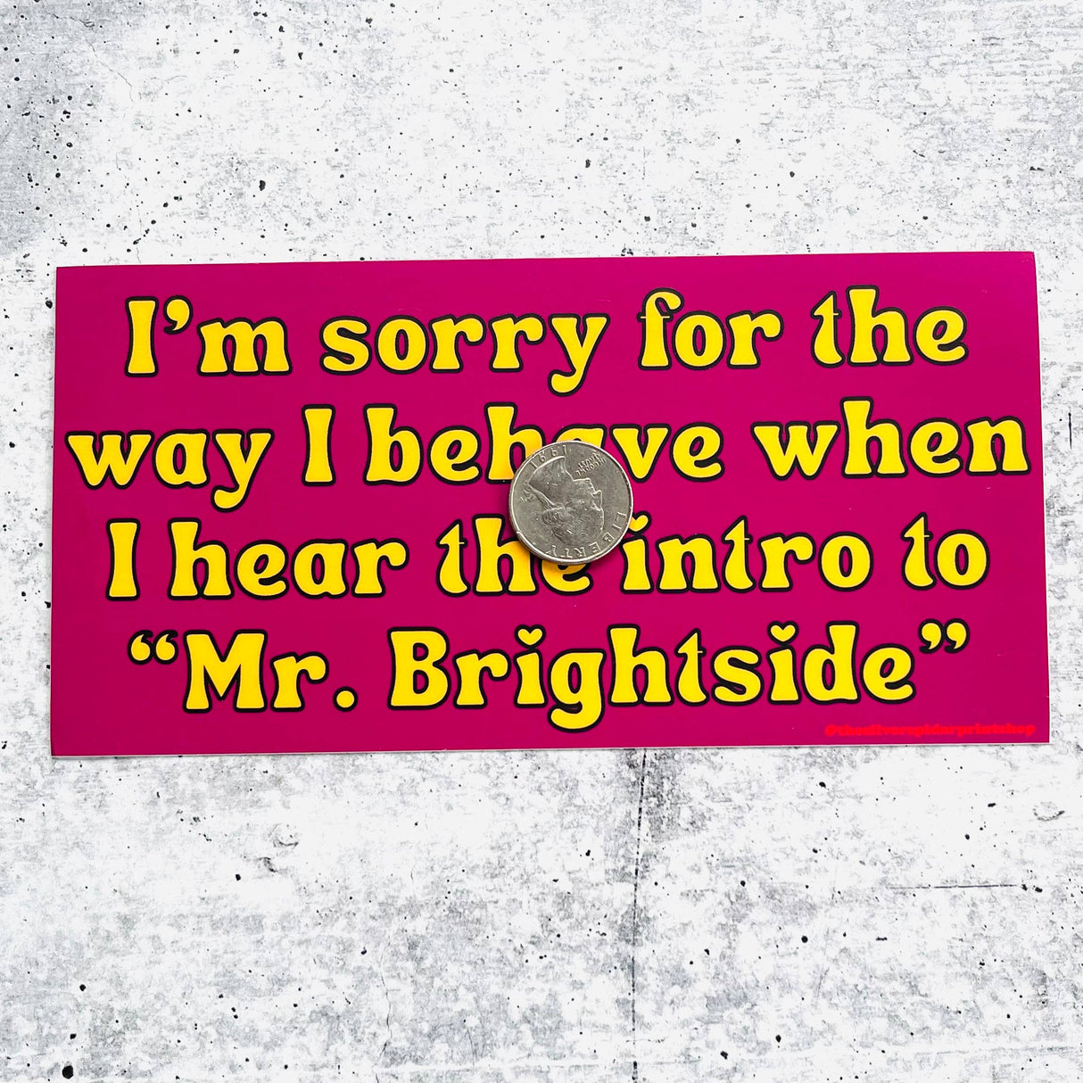 Sorry for the way I behave Mr. Brightside Bumper Sticker