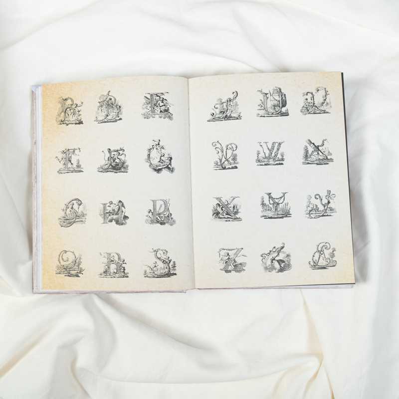 Cabinet of Curiosities II