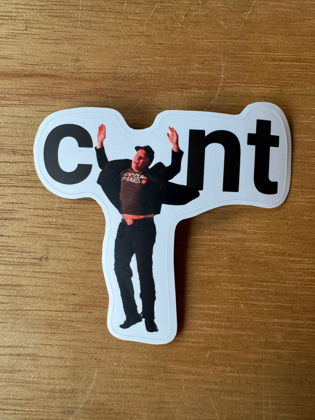 Elon the Cunt Sticker