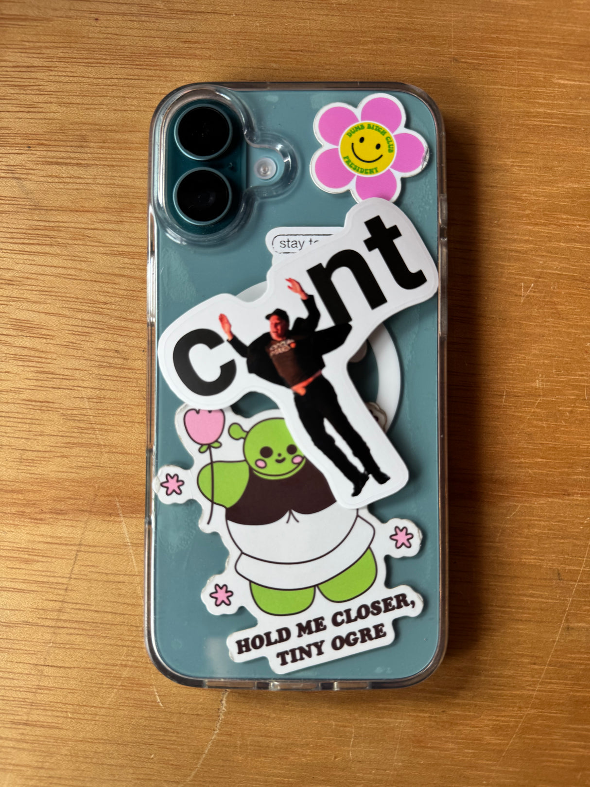 Elon the Cunt Sticker