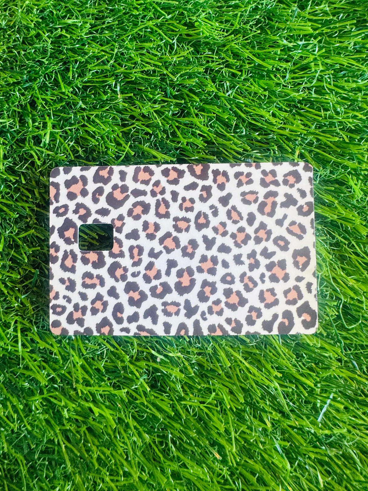 Cheetah CC Skin
