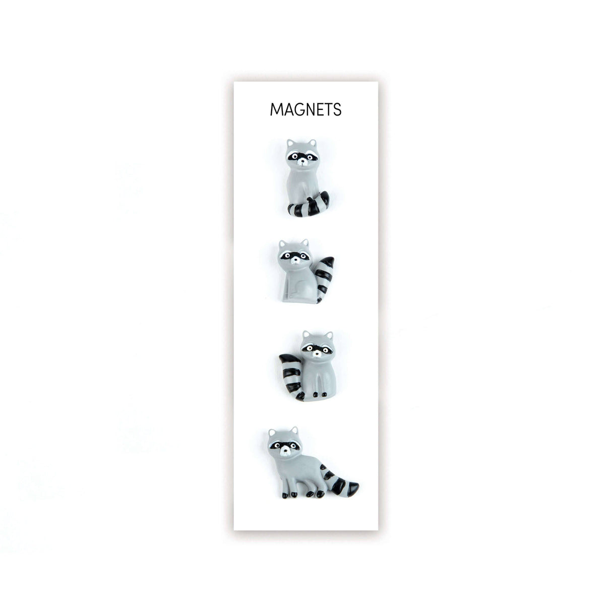 Colorful RACOON magnets s/4