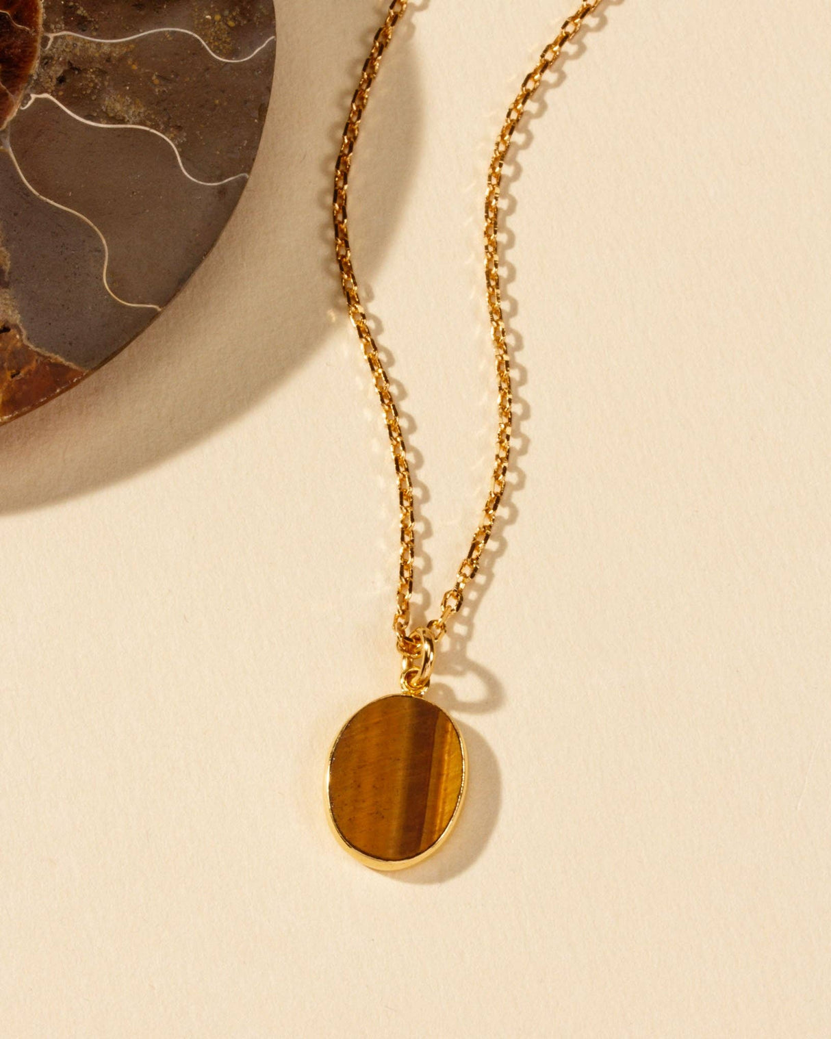 Shield of Strength Long Medallion Necklace - Tiger Eye