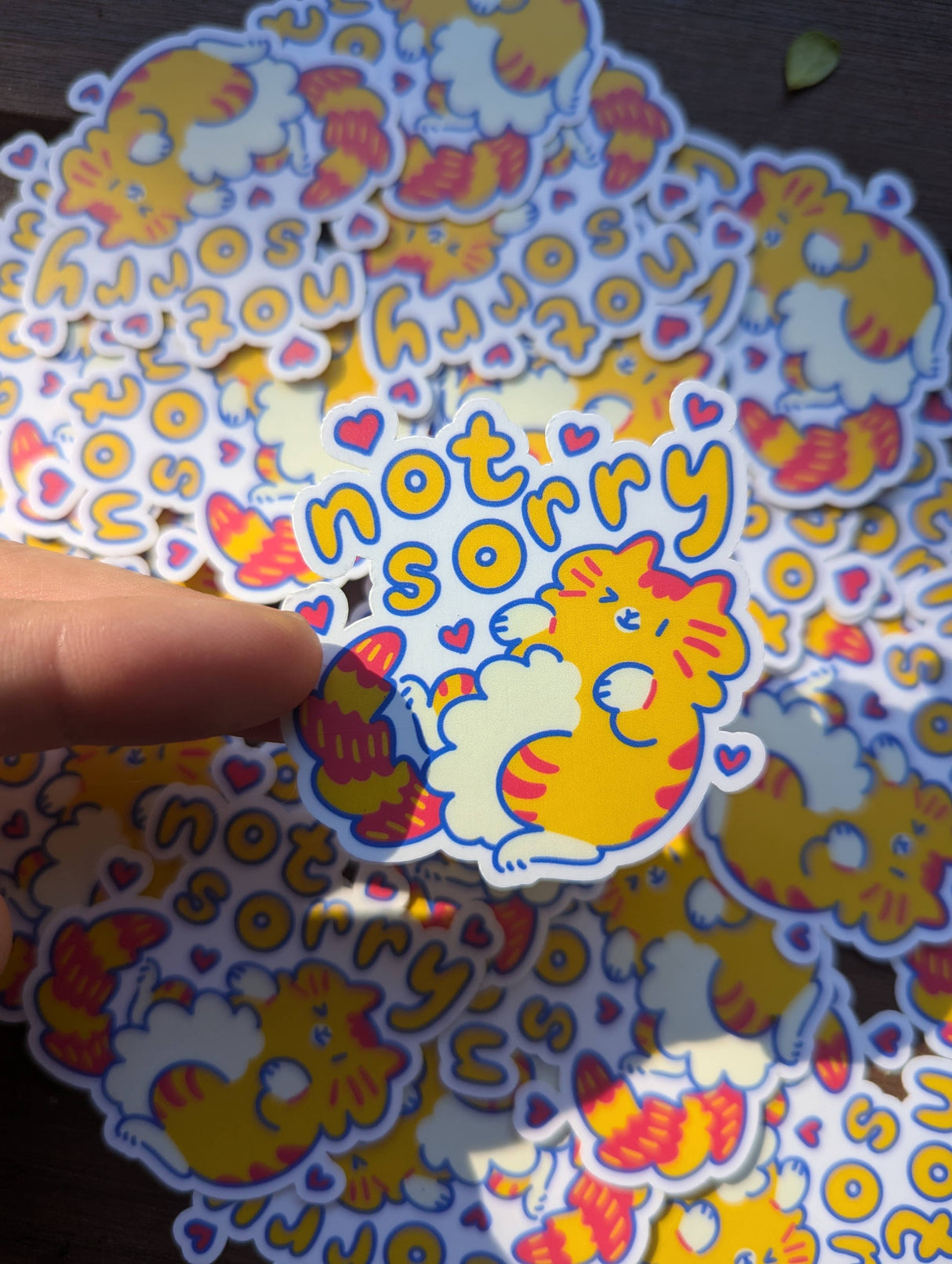 Not Sorry Funny Cat Vinyl Sticker