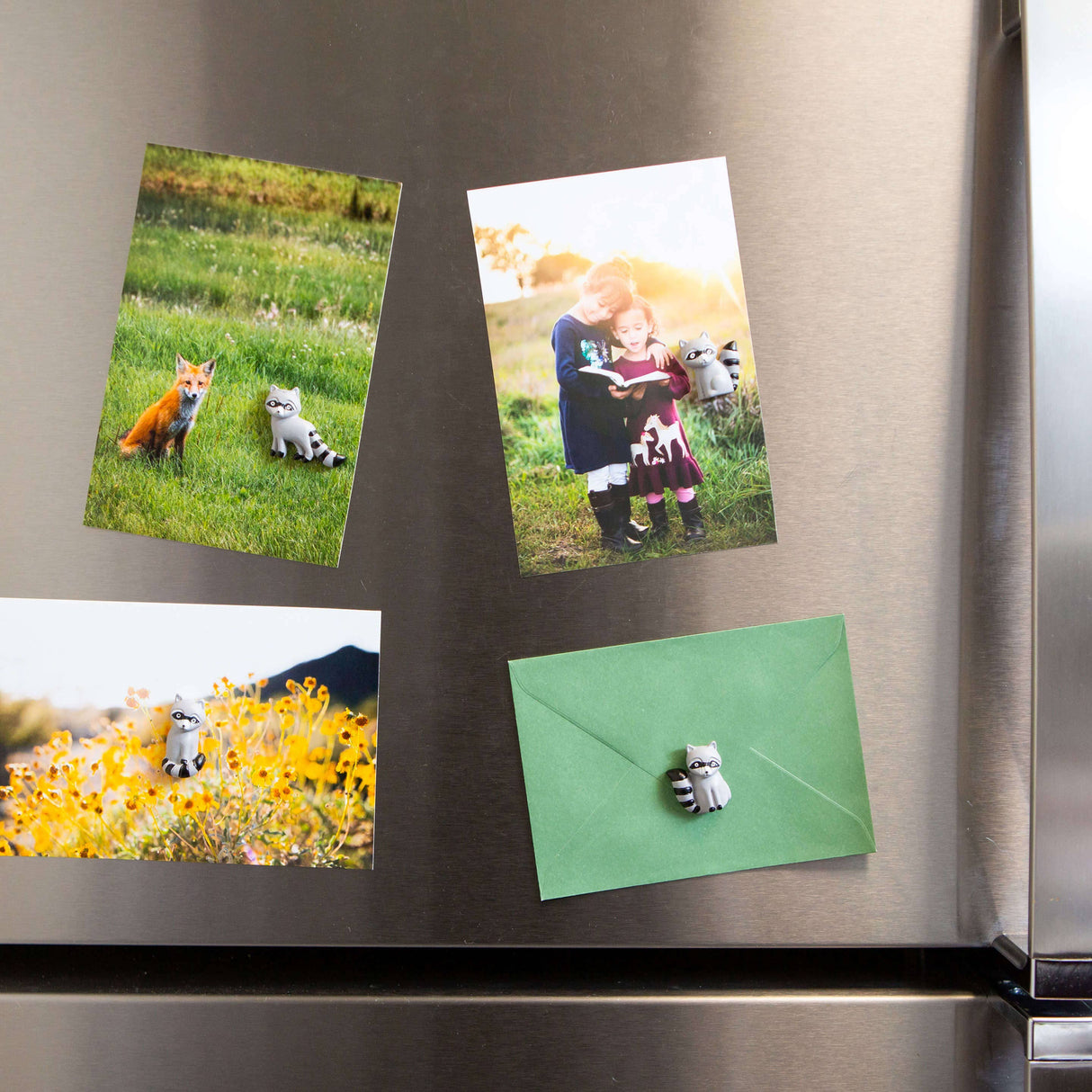 Colorful RACOON magnets s/4