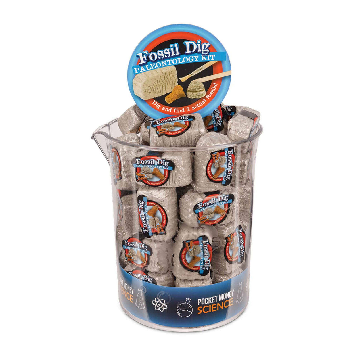 Fossil Dig Paleo Kit