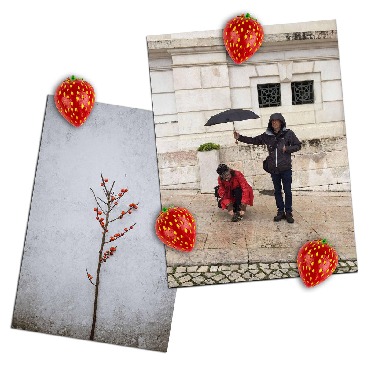 Colorful Strawberry Magnets Iconic Set of 4