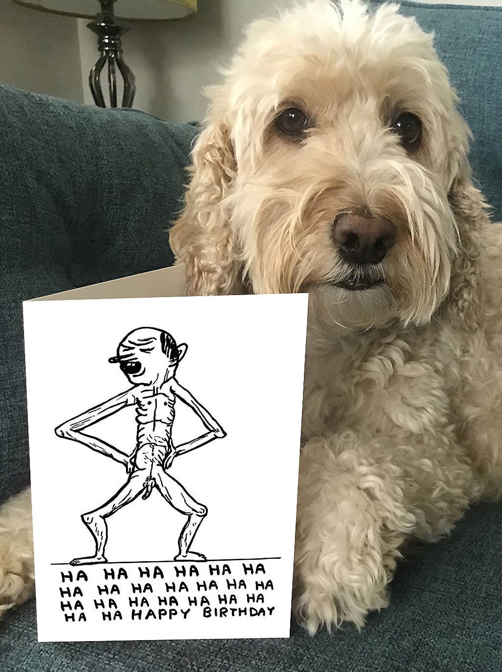 Ha Ha Happy Birthday Greeting Card