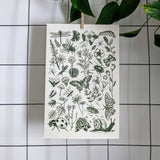 Bugs & Blooms Art Print