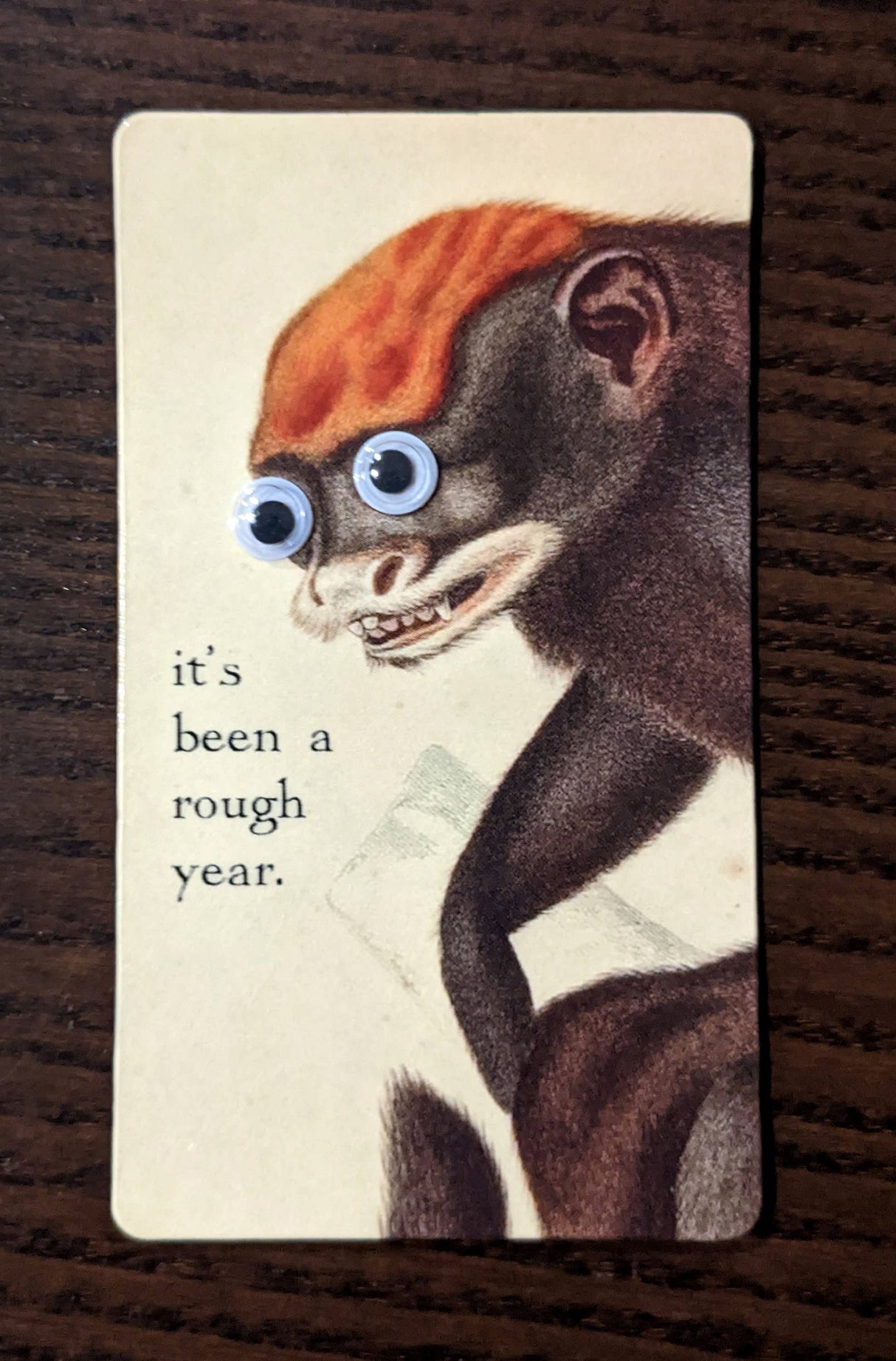 Silly Monkey Refrigerator Magnets! with 6mm Googly Eyes