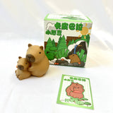 Capybara Blind Box