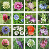 Flowers For You, 4 Seed Bomb Balls