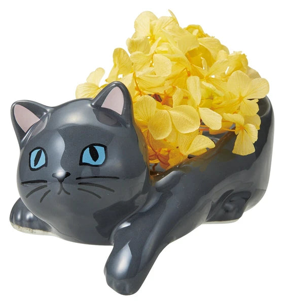Black Cat Soap Dish Ceramic - Japan