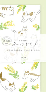 Mimosa Cat “Today's Letter” Mino Washi Letter Writing Set by Furukawa Paper