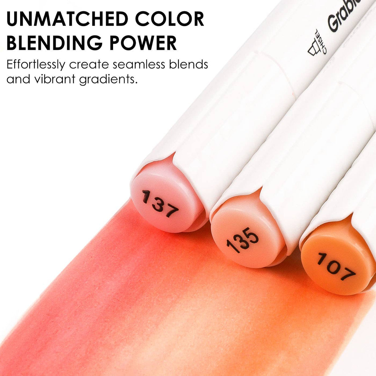 Dual-Tip Skin Tone Alcohol-Based Marker - Set of 36