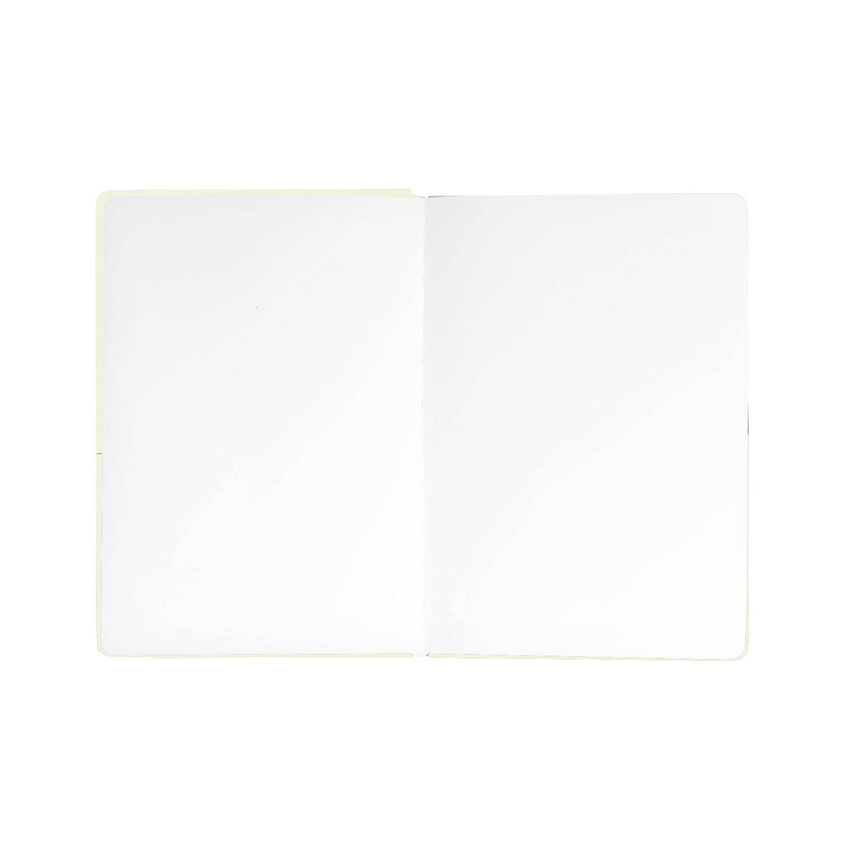Bufon Sketchbook