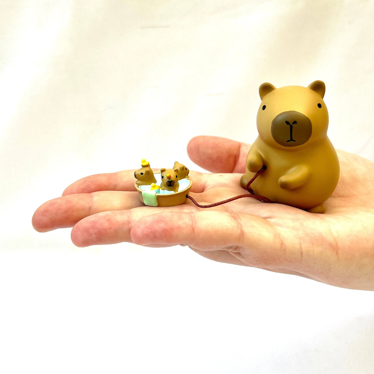Capybara Blind Box