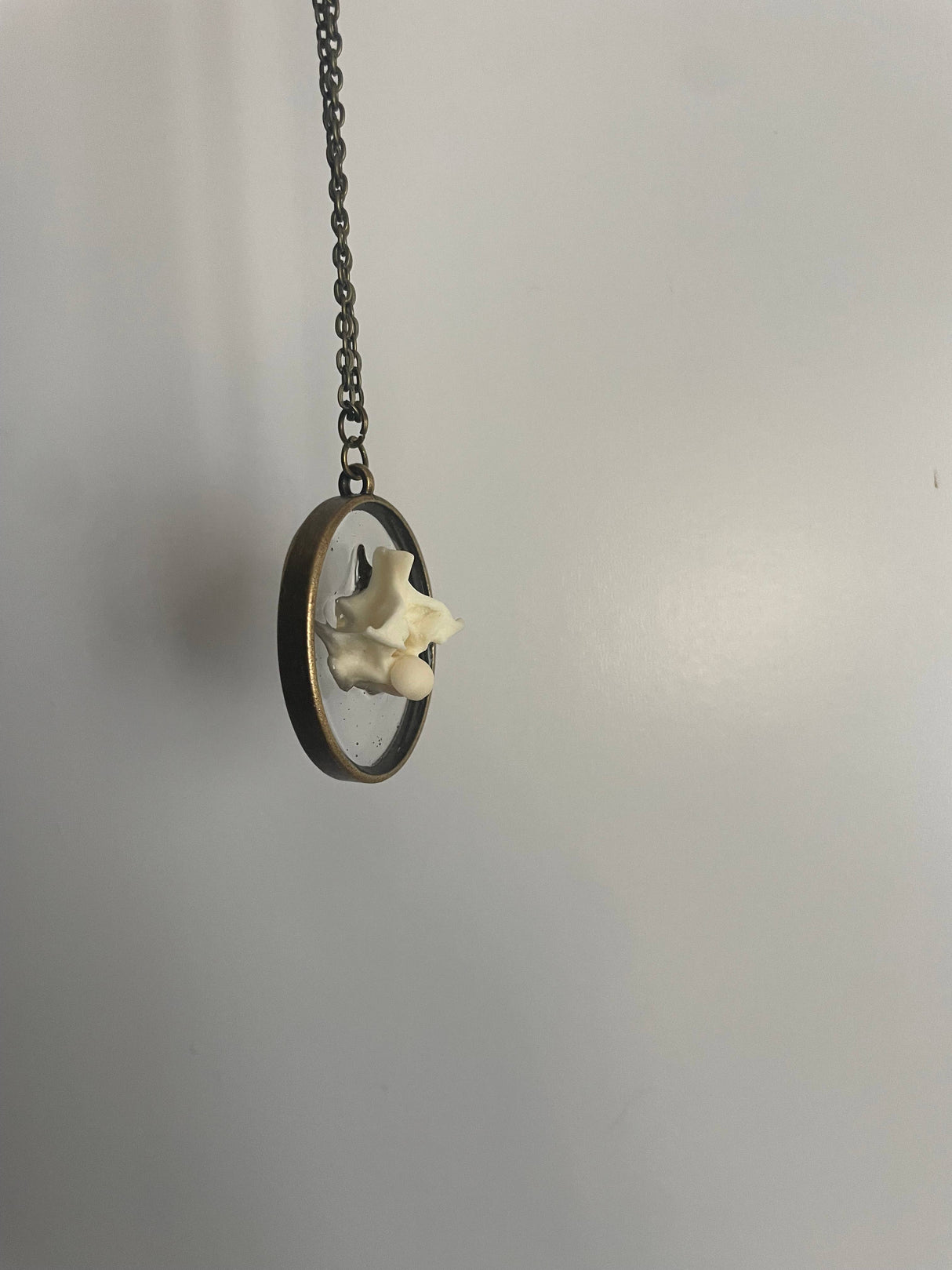 Single Ball Python Vertebrae Necklace