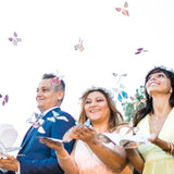Flying Magic Butterfly - Rainbow