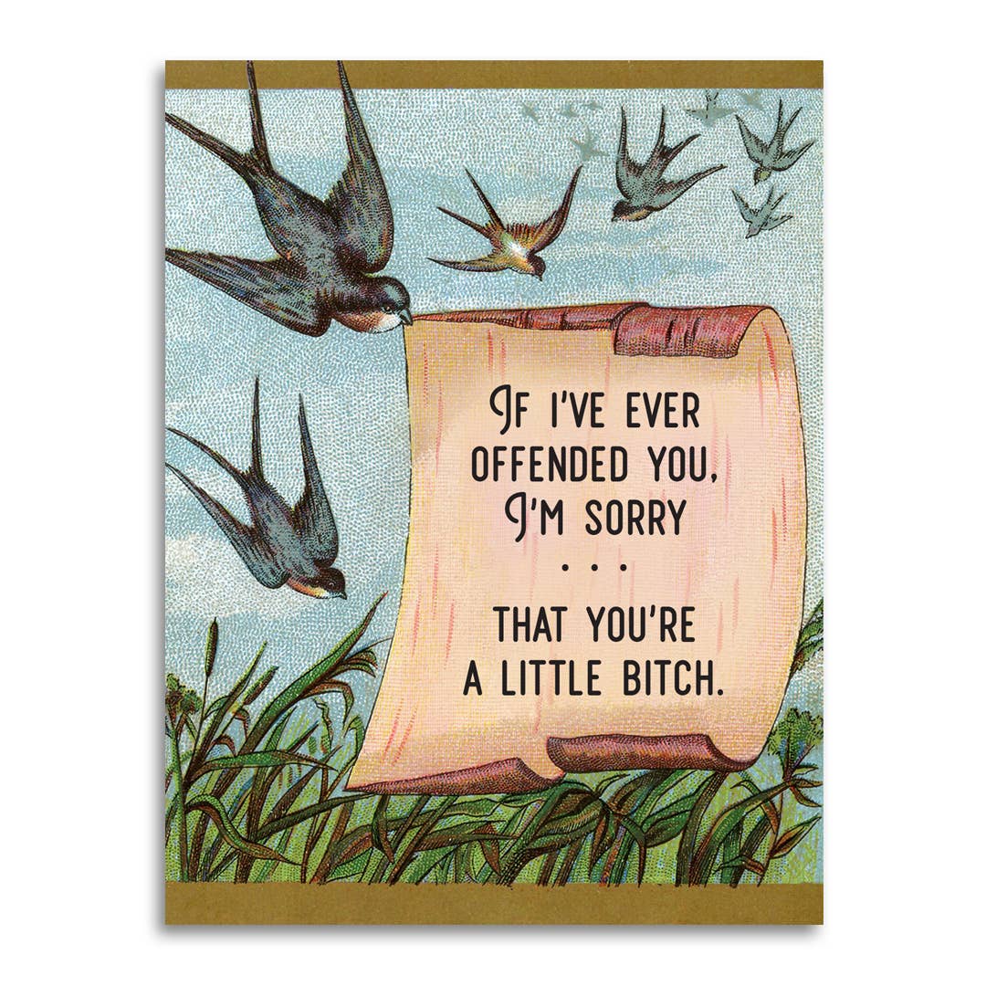 I'm Sorry If You're Offended (You're a Little Bitch) Card