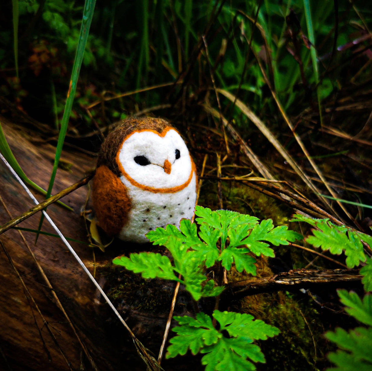 Barn Owl Needle Felting Kit