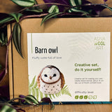 Barn Owl Needle Felting Kit