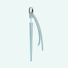 Needle Earring