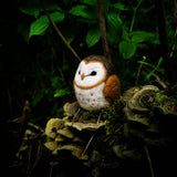 Barn Owl Needle Felting Kit